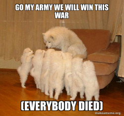 Storytelling Dog