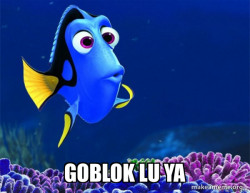 Dory from Nemo  (5 second memory)
