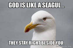 Stuff That Didn't Happen Seagull