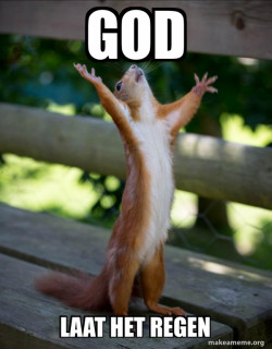 Happy Squirrel