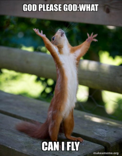 Happy Squirrel