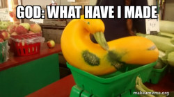 Gourd Advice Mallard