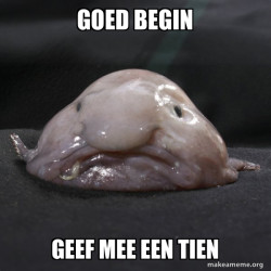 goed begin