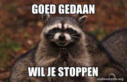 Evil Plotting Raccoon