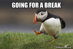 Unpopular Opinion Puffin