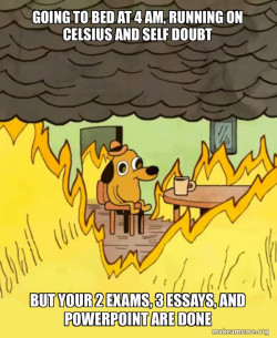 This Is Fine