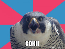 Millennial Falcon