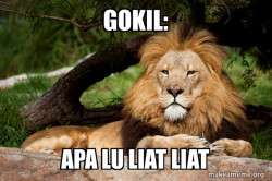Contemplative Lion