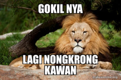 Contemplative Lion