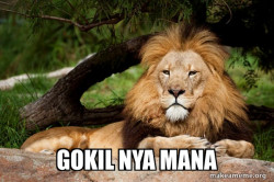 Contemplative Lion