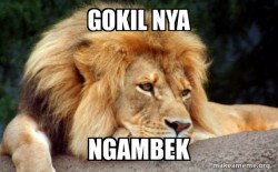 Confession Lion