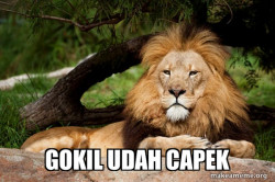 Contemplative Lion
