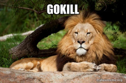 Contemplative Lion