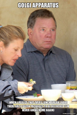 Stunned Shatner