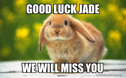Good luck Jade 