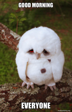 Sad Owl