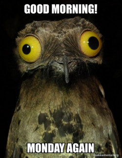 Weird Stuff I do Potoo