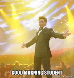 Tony Stark Success