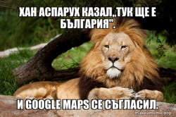 Contemplative Lion