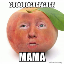 Impeached Donald Trump