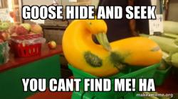 Gourd Advice Mallard
