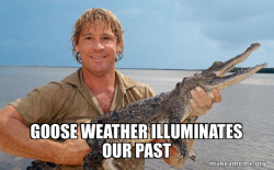 Steve irwin