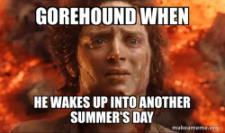 Frodo it's over it's done
