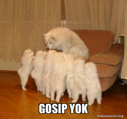 Storytelling Dog