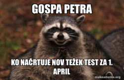 Evil Plotting Raccoon