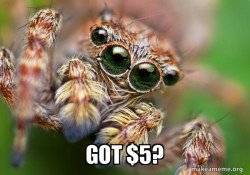 Hipster Spider