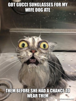 Cat bath