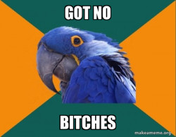 Paranoid Parrot