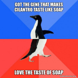 Socially Awkward Awesome Penguin
