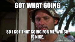 Bill Murry Caddyshack (So I got that going for me)