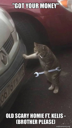 Mechanic Cat