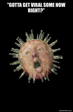 Trumpvirus TrumpPandemicvi