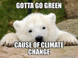Popular Opinion Bear