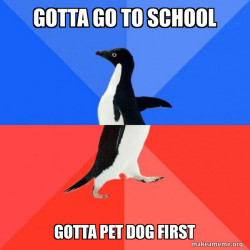 Socially Awkward Awesome Penguin
