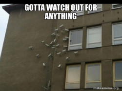 Paranoia meme