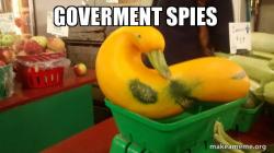 Gourd Advice Mallard