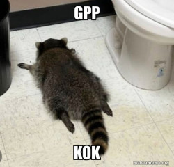 Drunk Raccoon