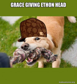Scumbag dog