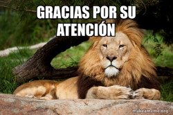 Contemplative Lion