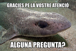 Dirty Joke Dogfish