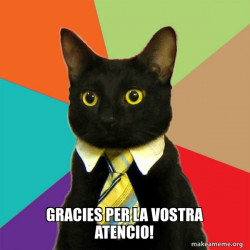 Business Cat