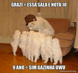 Scumbag Storytelling Dog