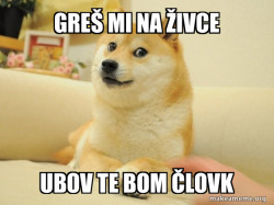 Doge
