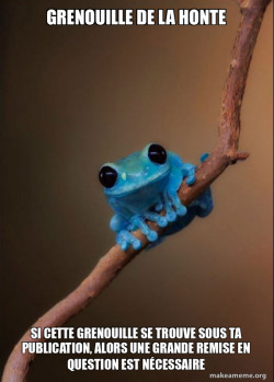 Small Fact Frog