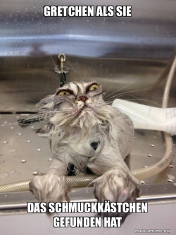 Cat Bath Returns