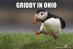 Unpopular Opinion Puffin